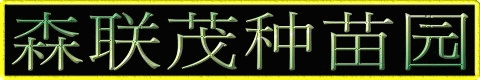 土芭乐苗,芭乐苗,珍珠芭乐苗,红宝石芭乐苗,柠檬苗,四季柠檬苗,台湾,森联茂种苗园,0980-870355,柠檬幼苗,柠檬树苗,柠檬嫁接苗,茂谷柑苗,杨桃苗,水果苗,果树苗