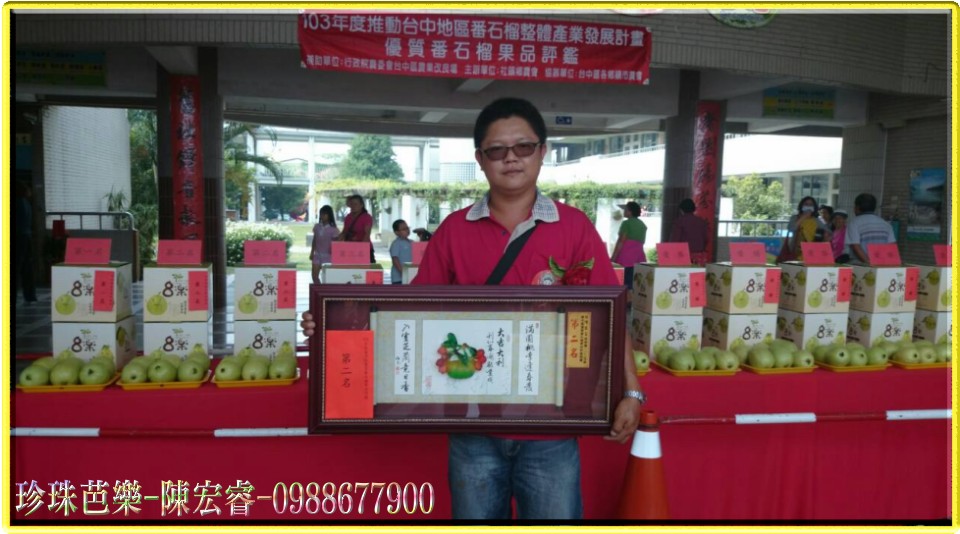 珍珠芭樂,陳宏睿0988-677900,珍珠芭樂苗,珍珠芭樂團購,珍珠芭樂產地,珍珠拔,芭樂,芭樂園,珍珠番石榴,拔樂,珍珠拔,團購,團體訂購