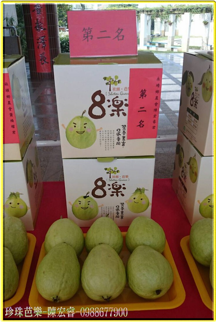 珍珠芭樂,陳宏睿0988-677900,珍珠芭樂苗,珍珠芭樂團購,珍珠芭樂產地,珍珠拔,芭樂,芭樂園,珍珠番石榴,拔樂,珍珠拔,團購,團體訂購