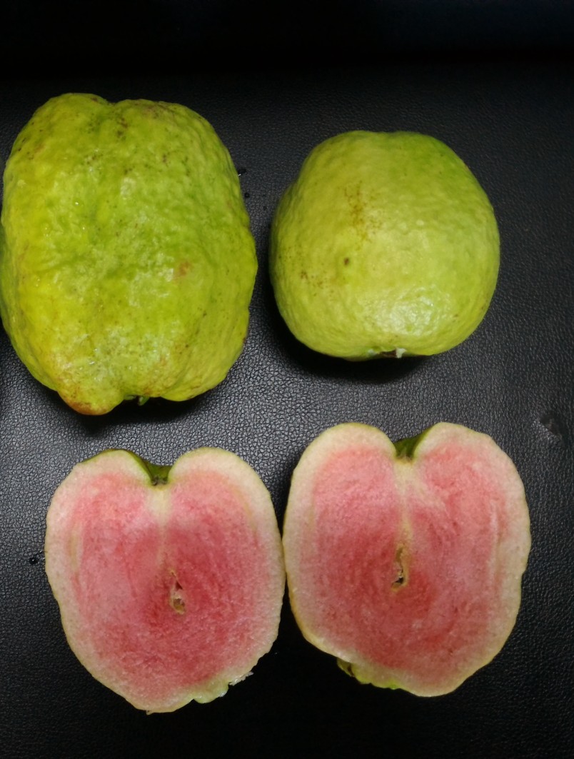 彰化縣永靖鄉五福村,碧天宮,忠義堂,玄天上帝,帝爺公