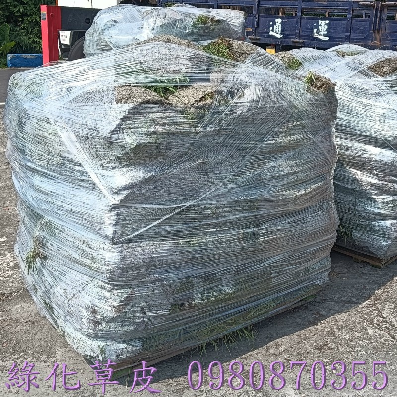 草皮買賣,新竹草皮買賣,桃園草皮買賣