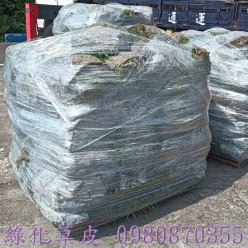 草皮批發買賣