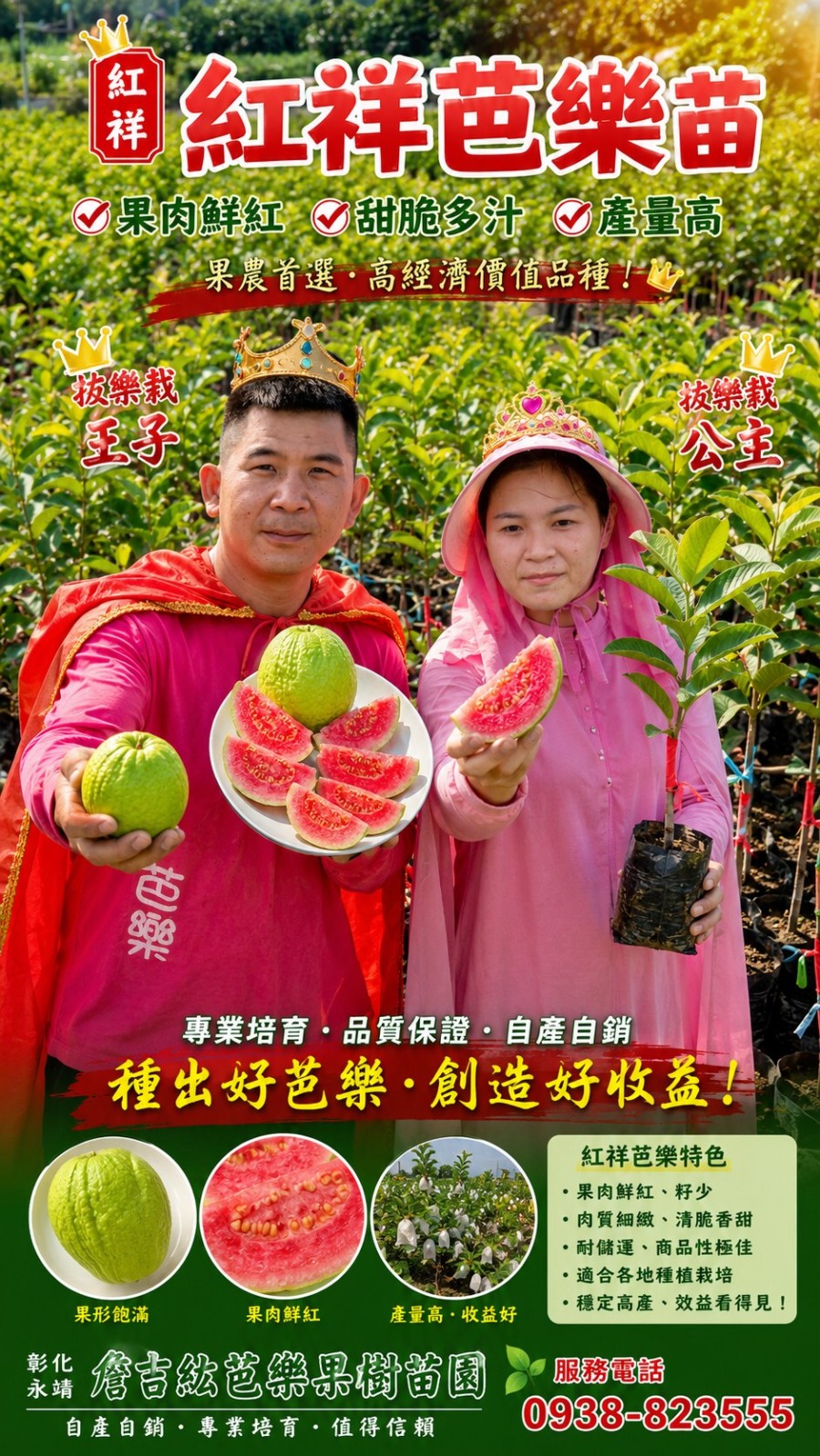 紅祥芭樂苗｜彰化永靖詹吉紘芭樂果樹苗園